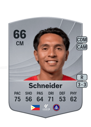 Schneider - 66 - Common