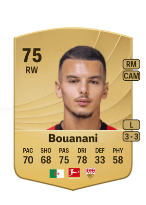 Bouanani - 75 - Common