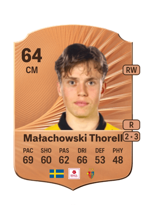 Małachowski Thorell - 64 - Rare