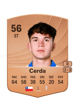 Cerda - 56 - Common