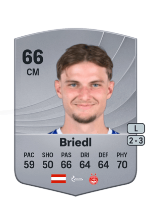 Briedl - 66 - Common