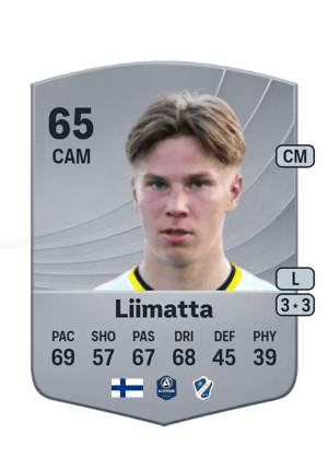Liimatta - 65 - Common