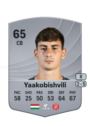 Yaakobishvili - 65 - Common