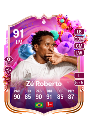 Zé Roberto