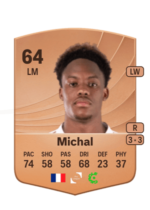 Michal - 64 - Common