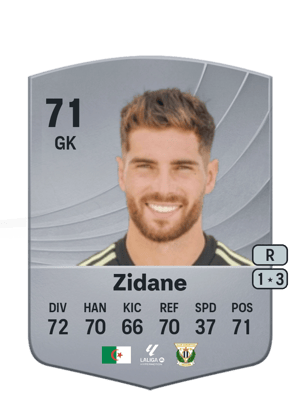 Zidane - 71 - Common