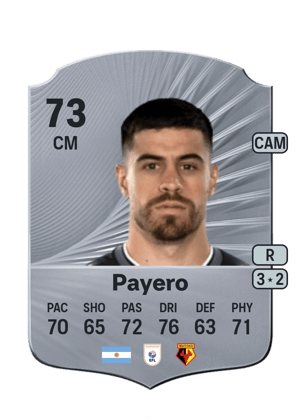 Payero - 73 - Rare