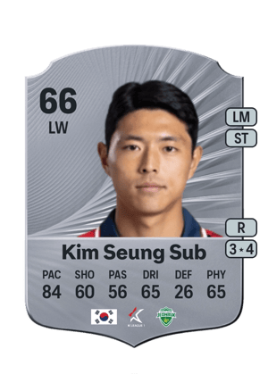 Kim Seung Sub