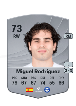 Miguel Rodríguez - 73 - Common