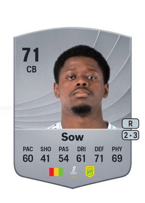 Sow - 71 - Common