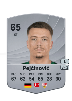 Pejčinović - 65 - Common