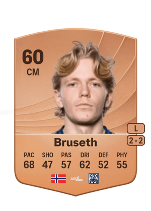 Heine Gikling Bruseth