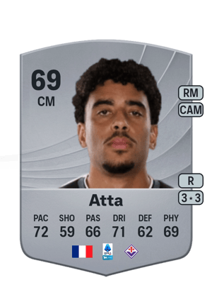 Atta - 69 - Common