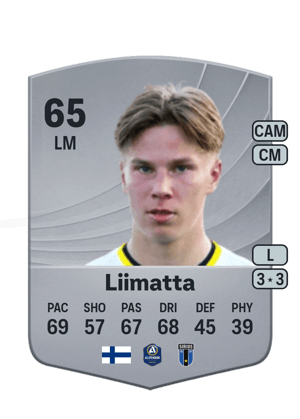 Liimatta - 65 - Common