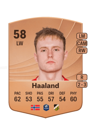 Haaland - 58 - Common