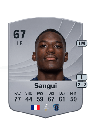 Sangui - 67 - Common