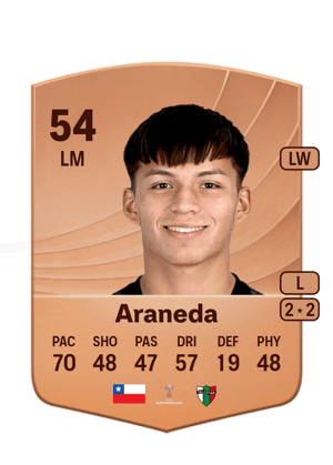 Araneda - 54 - Common