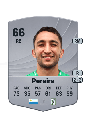 Pereira - 66 - Common