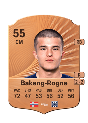 Bakeng-Rogne - 55 - Rare