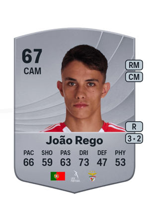 João Rego - 67 - Common