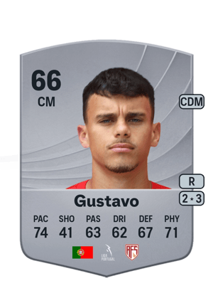 Gustavo - 66 - Common