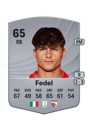 Fedel - 65 - Common