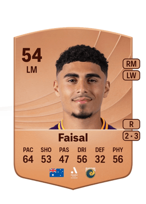 Faisal - 54 - Common