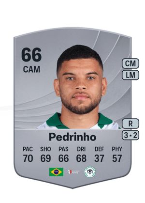 Pedrinho - 66 - Common