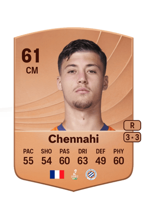 Chennahi - 61 - Common