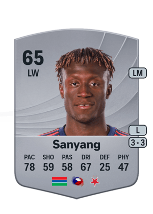 Sanyang - 65 - Common