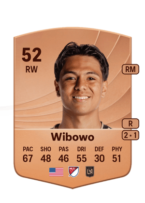 Wibowo - 52 - Common