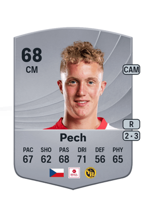 Pech - 68 - Common