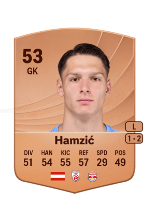 Hamzić - 53 - Common