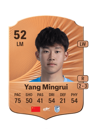 Yang Mingrui - 52 - Rare