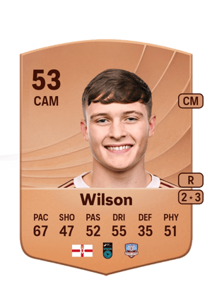 Wilson - 53 - Common