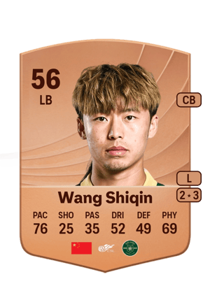 Wang Shiqin - 56 - Common