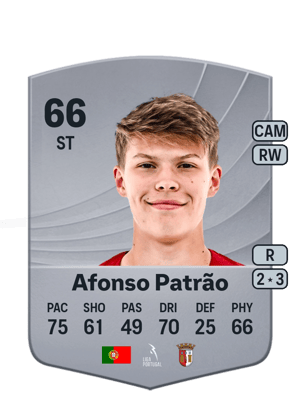 Afonso Patrão - 66 - Common