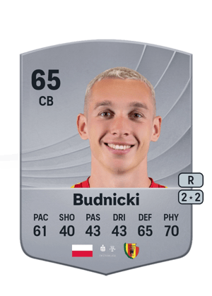 Budnicki - 65 - Common