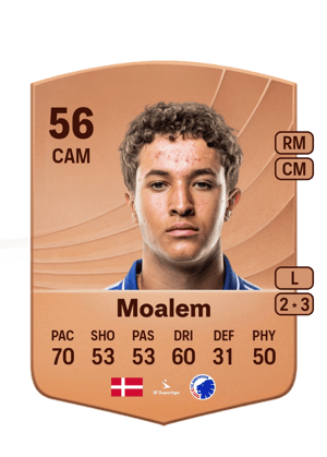 Moalem - 56 - Common