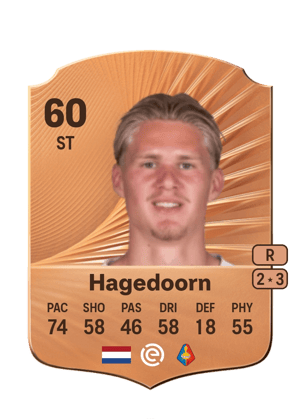 Hagedoorn - 60 - Rare