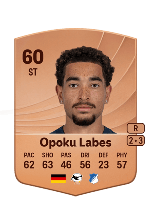 Opoku Labes - 60 - Common