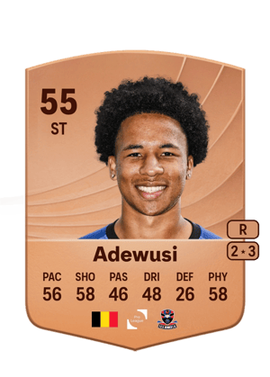 Adewusi - 55 - Common