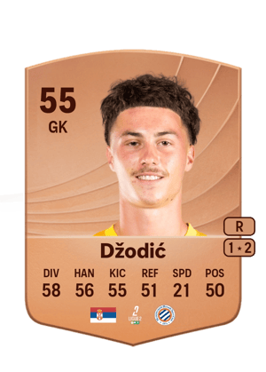 Džodić - 55 - Common