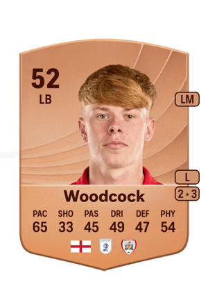 Woodcock - 52 - Common