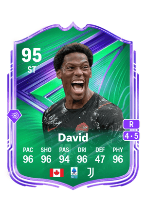 David - 95 - Festival of Football Star Performer