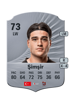 Şimşir - 73 - Rare