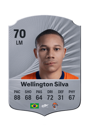 Wellington Silva