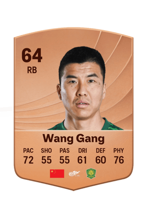 Wang Gang