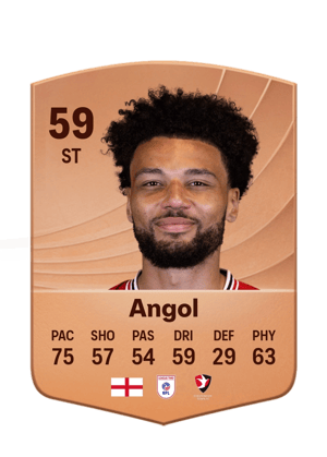 Lee Angol