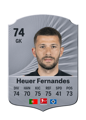 Daniel Heuer Fernandes